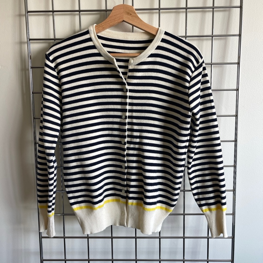 Striped Navy and White Sweater